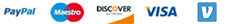 Accepted payment methods: Visa, Mastercard, Discover, American Express, PayPal and Venmo